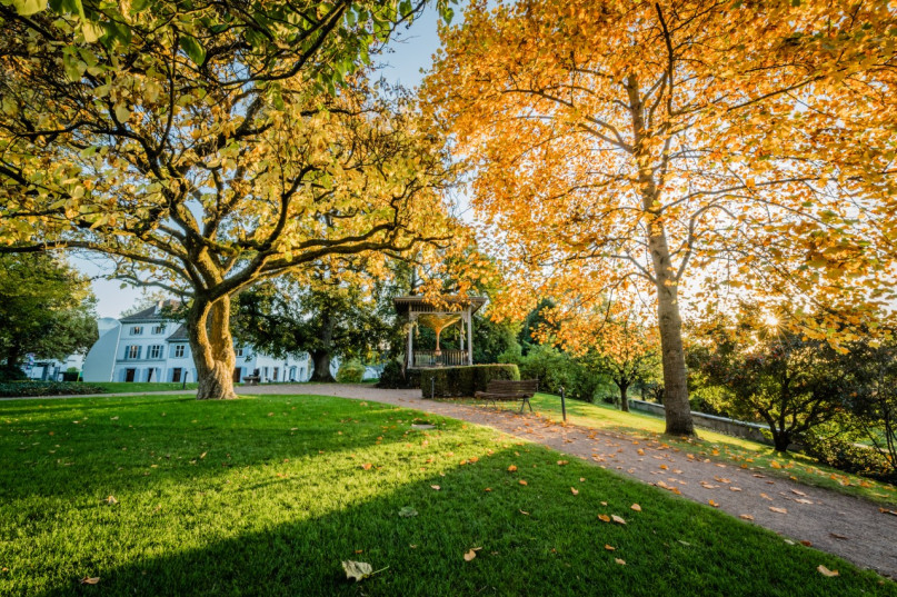 pluche74 fondation beyeler 7