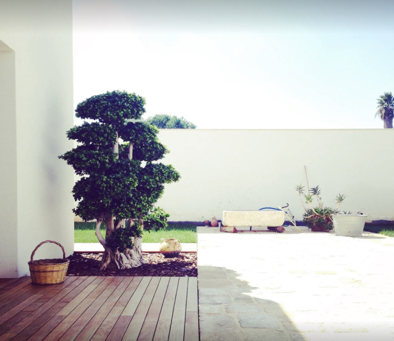 plush74 italy apulia location rent shoot film photo modern villa pool 3