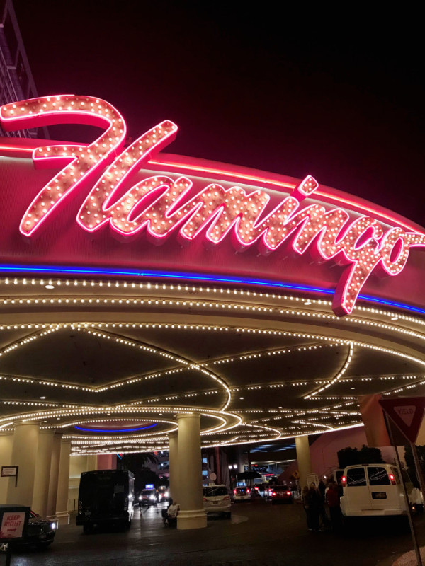 peluche74 location scout noleggio foto produzione cinematografica las vegas usa8