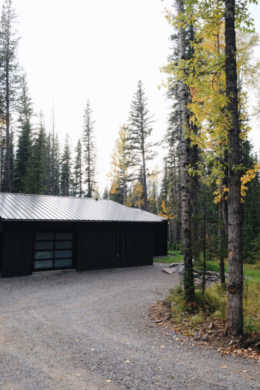 peluche74 película fotográfica lugar del evento alberta canadá bosque rústico cabaña 13