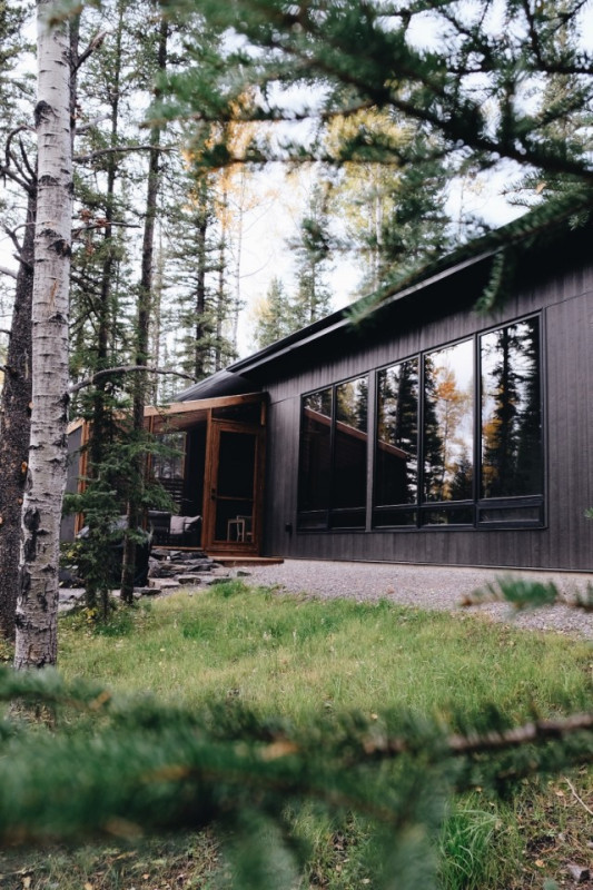 peluche74 película fotográfica lugar del evento alberta canadá bosque rústico cabaña 14