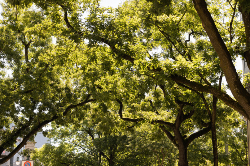 plush74 urban workspace bistro 7