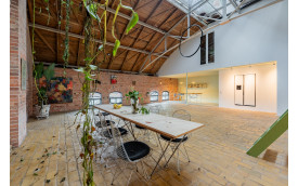 Sunlit Industrial Loft with Garden