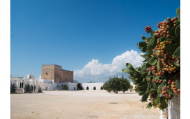 WHITE FARM HOTEL PUGLIA