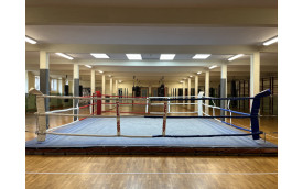 BODEGA DE BOXEO VINTAGE