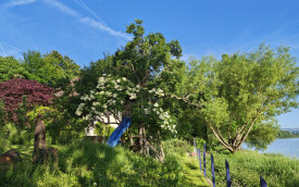 PRIVATE GARDEN IN AARGAU