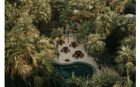 CASA DEL ÁRBOL EN TULUM