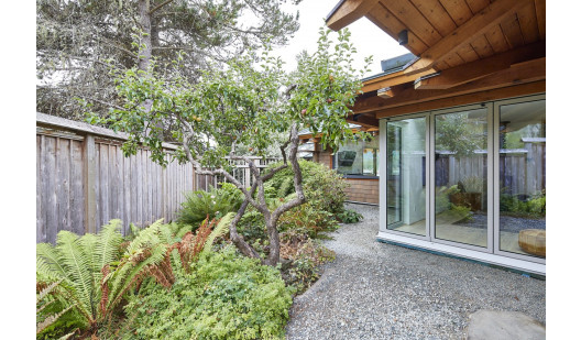 126 fruitvale 210901 13529