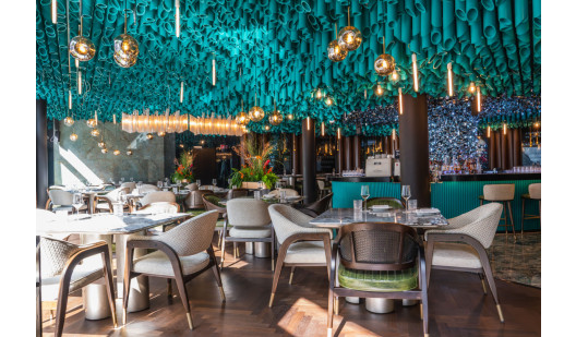 20240810 the coral 15