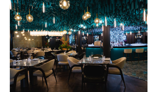 20240810 the coral 45