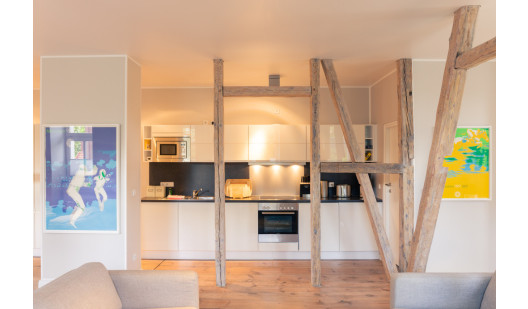 5 mg 4723 albatros kopie