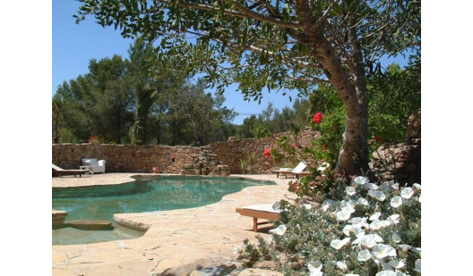 can talaias productions locaitons plush747