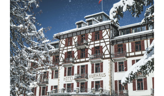 hotelswitzerlandlocationplush74 54 1