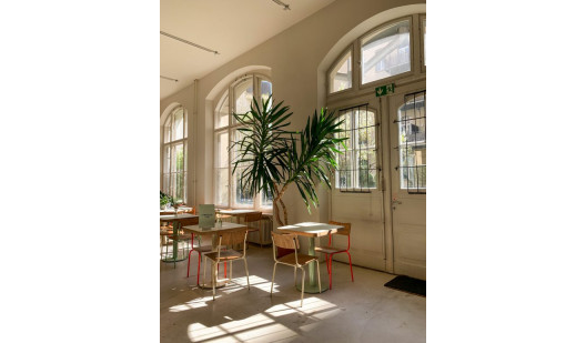 img 3681 q5alal0bv9viktccuia3ss83no28upfllmix62t444