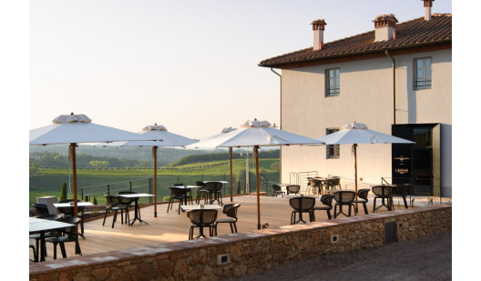 laquavineyardpi22 4140