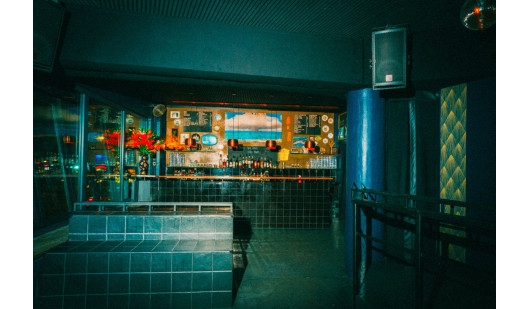 paloma 01 2023 11 nr 0434 websize 2500px