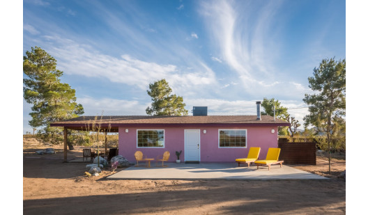 plus74 rose caasita usa joshuatree location2