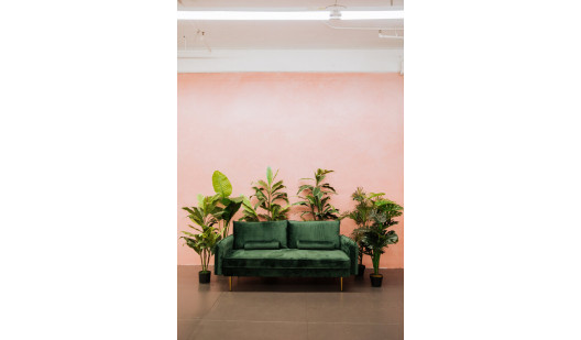 plus74 rose petal nude studio la location1