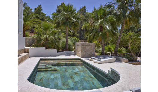 plush 74 casa media luna ibiza 91322 3