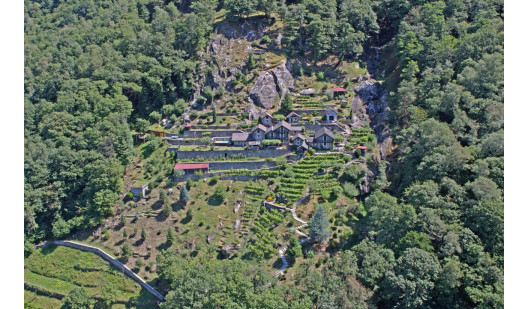 plush 74 rodino 97289 10