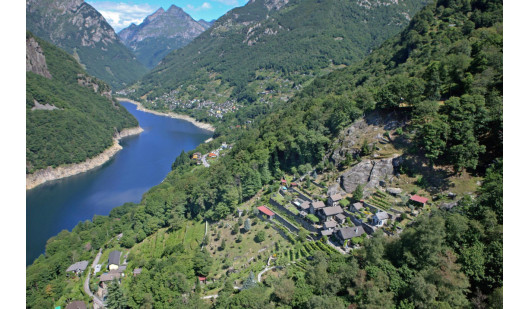 plush 74 rodino 97289 11