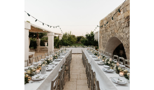 plush74 4msp location2 8