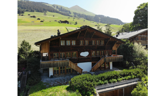 plush74 alpine chalet 1