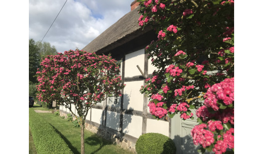 pluche74 alte budnerei 3(1)