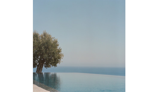 plush74 amadriade 16 (3)