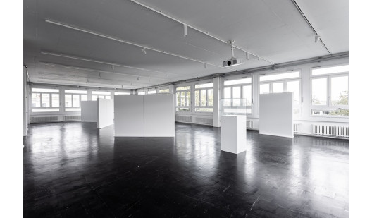 plush74 art gallery studio loft zurich 1