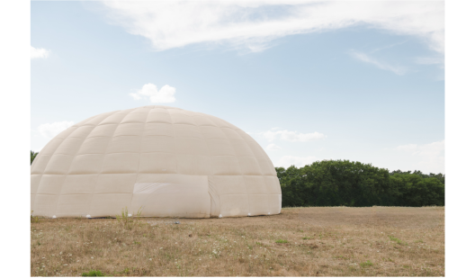 plush74 balloon 3 (1)