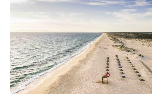 plush74 beach club 3