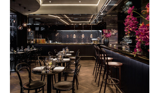 plush74 bistro berlin 1