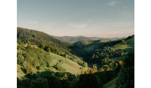 plush74 black forest house 1650 4