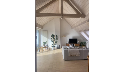 plush74 bright and airy seefeld attic loft 1