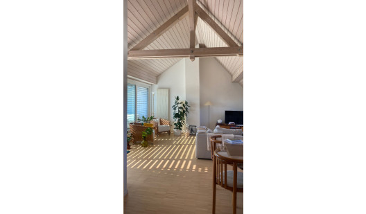 plush74 bright and airy seefeld attic loft 13