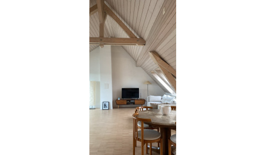 plush74 bright and airy seefeld attic loft 2