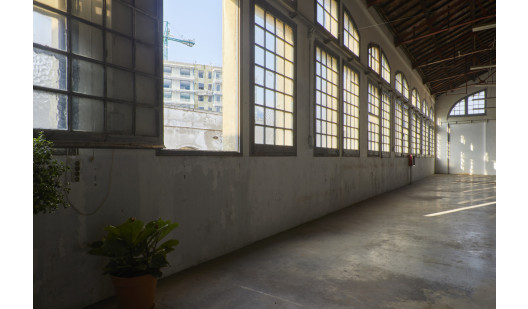 plush74 casa antoni1 1