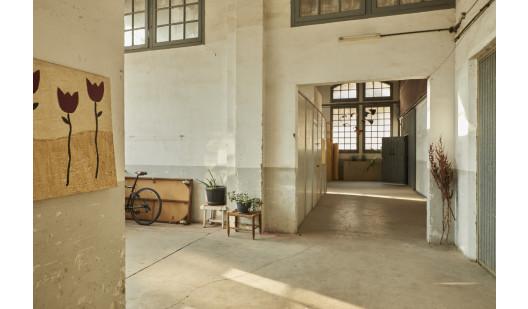 plush74 casa antoni1 3