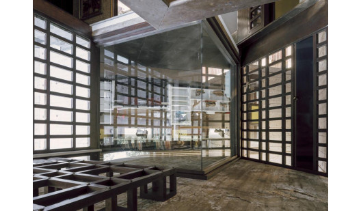 plush74 coleottero 15(1)