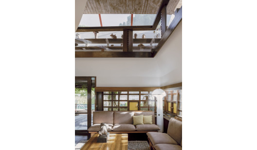 plush74 coleottero 2(1)