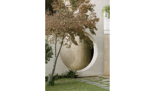 plush74 coleottero 60