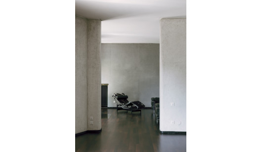 plush74 coleottero1 10 (2)