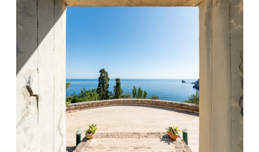 plush74 coleottero1 13