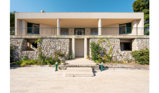 plush74 coleottero1 29