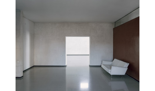 plush74 coleottero1 3