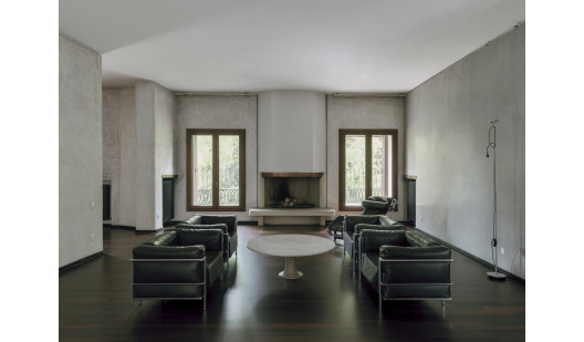 plush74 coleottero1 8 (1)