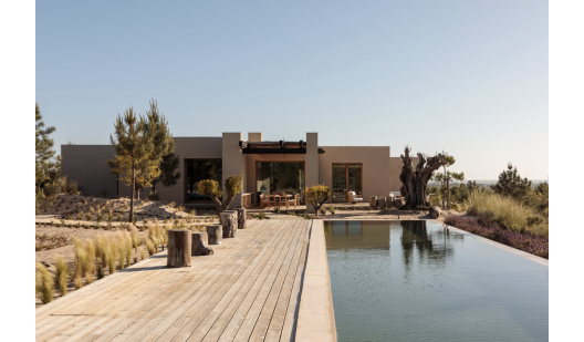 peluche74 comunità creativa portogallo 1