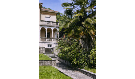 plush74 damalisco 1(1)