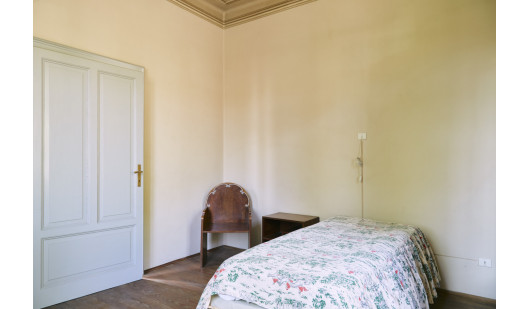 plush74 damalisco 2(1)